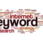 Understanding Search Types for SEO